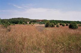 Istra,okolica Rovinja, zemljište 25117m2, Kanfanar, Tierra