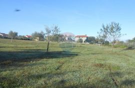 Istra, Vodnja, Galižana, velika parcela (5520 m2) na rubu urbanizacije, Vodnjan, Zemljište