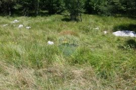 POLJOPRIVREDNO ZEMLJIŠTE UDALJENO OD ŽEJANA 300 M IDEALNO ZA VIKENDICU, Matulji, Terra