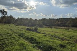 Labin, kompleks građevinskog i poljoprivrednog zemljišta, Labin, Γη