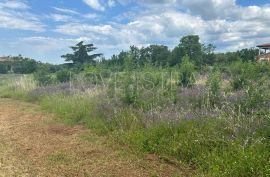 Građevinsko zemljište 2km od mora., Poreč, Terreno