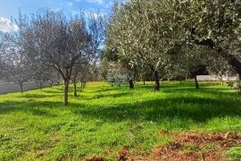 Pula,okolica,građevinsko zemljište s projektom, Pula, Land