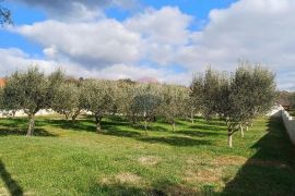 Pula,okolica,građevinsko zemljište s projektom, Pula, Land