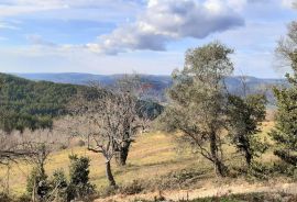 Istra, Motovun okolica - samostojeća autohtona kuća sa otvorenim pogledom na Motovun, Motovun, بيت