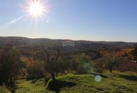 Motovun okolica, autohtona kuća s pogledom na Motovun, Motovun, Haus