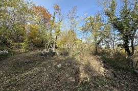 Istra, Buje, okolica - poljoprivredno zemljište 20.000 m2 sa ucrtanim objektom, Buje, Zemljište