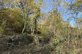 Istra, Buje, okolica - poljoprivredno zemljište 20.000 m2 sa ucrtanim objektom, Buje, Zemljište