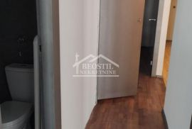 Stari grad - Zmaj Jovina - 120m2 ID#23794, Stari Grad, العقارات التجارية