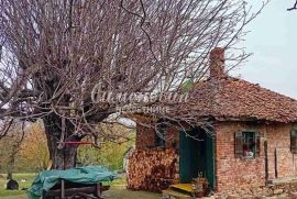 Aranđelovac, Vrbica, 180m2+2pomoćna objekta, 250 ari, odlično ID#1634, Aranđelovac, بيت