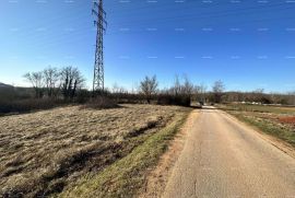 Građevinsko zemljište Prodaje se građevinsko zemljište, 3697 m2, okolica Motovuna, Motovun, Zemljište