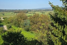 Kuća PRODAJA Dubravica 169 m2, 4 etaže, garaža, spremište, Dubravica, Famiglia