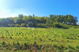 Izvanredno zemljište u blizini Poreča, Poreč, Tierra