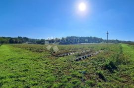 Izvanredno zemljište u blizini Poreča, Poreč, Tierra