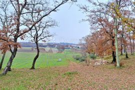 Izvanredno zemljište u blizini Poreča, Poreč, Tierra