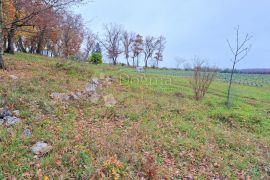 Izvanredno zemljište u blizini Poreča, Poreč, Tierra