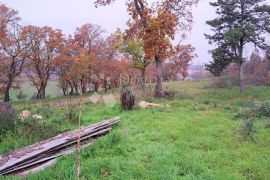 Izvanredno zemljište u blizini Poreča, Poreč, Tierra