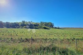 Izvanredno zemljište u blizini Poreča, Poreč, Tierra