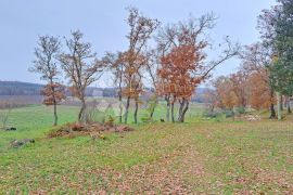 Izvanredno zemljište u blizini Poreča, Poreč, Tierra