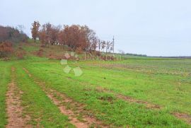 Izvanredno zemljište u blizini Poreča, Poreč, Tierra