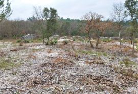 TOP GRAĐEVINSKO ZEMLJIŠTE SA NEPROCJENJIVIM POGLEDOM, Raša, Land