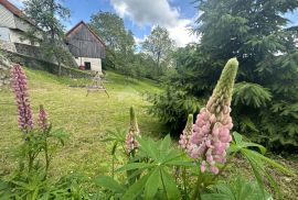 GORSKI KOTAR- Predivno uređena goranska kuća za odmor, Ravna Gora, Casa