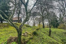 GORSKI KOTAR, VRBOVSKO- Kuća za odmor s velikom okućnicom, Vrbovsko, Kuća