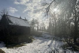 GORSKI KOTAR, VRBOVSKO- Kuća za odmor s velikom okućnicom, Vrbovsko, Kuća