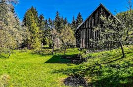 GORSKI KOTAR, VRBOVSKO- Kuća za odmor s velikom okućnicom, Vrbovsko, Kuća