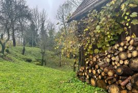 GORSKI KOTAR, VRBOVSKO- Kuća za odmor s velikom okućnicom, Vrbovsko, Kuća