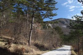 Zemljište sa ucrtanim objektom,Brest pod Učkom 200 000m2, Lupoglav, Terra