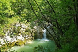 ISTRA, BUZET - Dvije kuće s prostranim zemljištem u netaknutoj prirodi, Buzet, Σπίτι