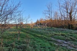 ISTRA, PAZIN - Kuća s velikim zemljištem sportske, građevinske i poljoprivredne namjene s pano pogledom, Pazin - Okolica, Σπίτι