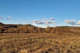 ISTRA, PAZIN - Kuća s velikim zemljištem sportske, građevinske i poljoprivredne namjene s pano pogledom, Pazin - Okolica, Σπίτι