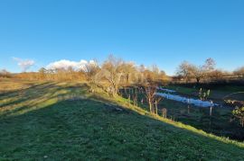 ISTRA, PAZIN - Kuća s velikim zemljištem sportske, građevinske i poljoprivredne namjene s pano pogledom, Pazin - Okolica, Σπίτι