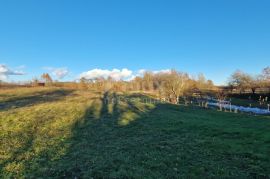 ISTRA, PAZIN - Kuća s velikim zemljištem sportske, građevinske i poljoprivredne namjene s pano pogledom, Pazin - Okolica, Σπίτι