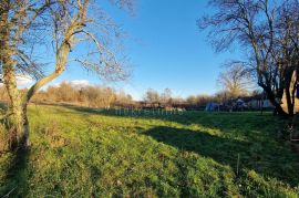 ISTRA, PAZIN - Kuća s velikim zemljištem sportske, građevinske i poljoprivredne namjene s pano pogledom, Pazin - Okolica, Σπίτι