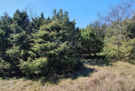 ISTRA, RABAC - Poljoprivredno zemljište, Labin, Zemljište