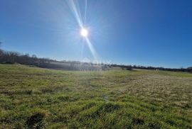 ISTRA, BARBAN - Prostrani kompleks zemljišta na odličnoj lokaciji, Barban, Γη