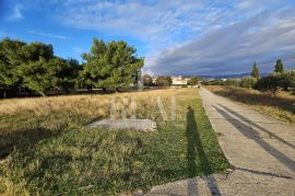 Zemljište 1.red do mora T1 zona,5000 m2, Novalja, Земля