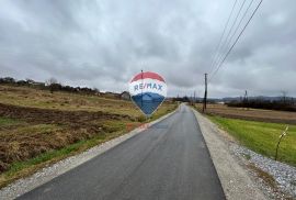 GRAĐEVINSKO ZEMLJIŠTE, 3046 m2, POZNANOVEC, Bedekovčina, Arazi