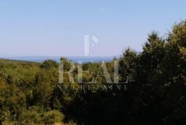 Valtura,kuća 150m2 sa dva stana, pogled na more !, Ližnjan, House