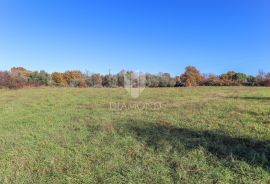 Predivno građevinsko zemljište s pogledom na more, Kanfanar, Land