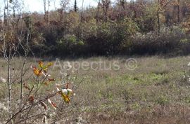 Vodnjan-Divšići poljoprivredno zemljište 50 000m2, Marčana, Земля