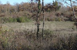 Vodnjan-Divšići poljoprivredno zemljište 50 000m2, Marčana, Земля