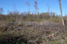 Vodnjan-Divšići poljoprivredno zemljište 50 000m2, Marčana, Земля