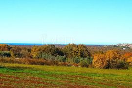 Istra - Lovreč, dva građevinska zemljišta pogled more, Sveti Lovreč, أرض