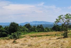 SAMO KOD NAS! Kuća na prostranoj okućnici u mirnom okruženju, Barban, Ev