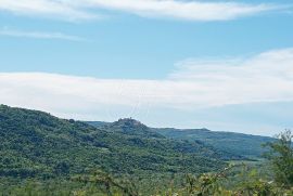 Kamena kuća sa započetom adaptacijom, Motovun, Kuća