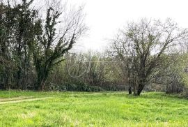 Poljoprivredna zemljišta u Šišanu, Ližnjan, Land