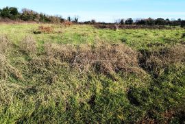 Zemljište u Šišanu, 1250 m2, Ližnjan, Terreno